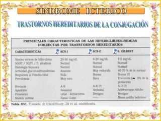 Criação Ria Slides TRASTORNOS HEREDITARIOS DE LA CONJUGACIÓN 