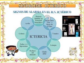 SIGNOS DE ALARMA EN EL R.N. ICTÉRICO 