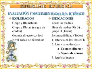 Criação Ria Slides EVALUACIÓN Y SEGUIMIENTO DEL R.N. ICTÉRICO 