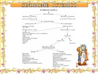 Criação Ria Slides 