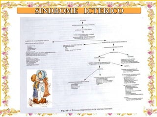 Criação Ria Slides 