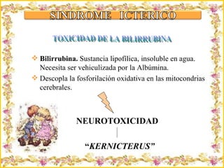 Criação Ria Slides Bilirrubina.  Sustancia lipofílica, insoluble en agua. Necesita ser vehiculizada por la Albúmina. Descopla la fosforilación oxidativa en las mitocondrias cerebrales. NEUROTOXICIDAD “ KERNICTERUS” TOXICIDAD DE LA BILIRRUBINA 