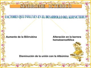 Criação Ria Slides Aumento de la Bilirrubina Disminución de la unión con la Albúmina Alteración en la barrera  hematoencefélica FACTORES QUE INFLUYEN EN EL DESARROLLO DEL KERNICTERUS 