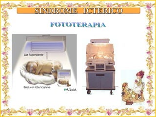 Criação Ria Slides FOTOTERAPIA 