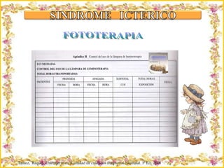 Criação Ria Slides FOTOTERAPIA Tamez,  Raquel. Enfermería en la unidad de cuidados intensivos Neonatal. 3ª Ed,  2008 