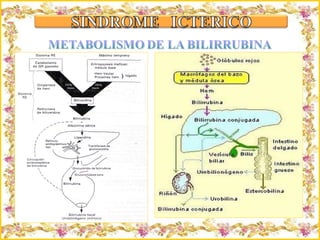Criação Ria Slides 