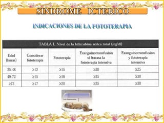 Criação Ria Slides INDICACIONES DE LA FOTOTERAPIA 
