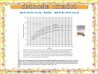 Criação Ria Slides ZONAS DE RIESGO Ceriani,  José. Neonatología práctica. 4ª Ed,  2009;  pág 562. 