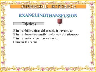Criação Ria Slides EXANGUINOTRANSFUSION Eliminar bilirrubinas del espacio intravascular. Eliminar hematíes sensibilizados con el anticuerpo. Eliminar anticuerpo libre en suero. Corregir la anemia. Objetivos 