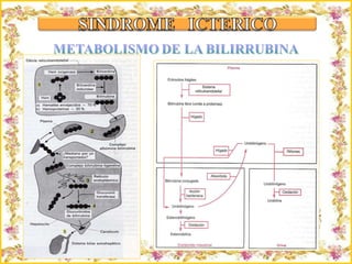 Criação Ria Slides 