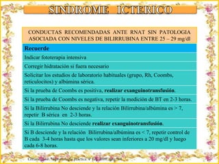 Criação Ria Slides CONDUCTAS  RECOMENDADAS  ANTE  RNAT  SIN  PATOLOGIA ASOCIADA CON NIVELES DE BILIRRUBINA ENTRE 25 – 29 mg/dl Ceriani,  José. Neonatología práctica. 4ª Ed,  2009;  pág 564 Recuerde Indicar fototerapia intensiva Corregir hidratación si fuera necesario Solicitar los estudios de laboratorio habituales (grupo, Rh, Coombs, reticulocitos) y albúmina sérica. Si la prueba de Coombs es positiva,  realizar exanguinotransfusión . Si la prueba de Coombs es negativa, repetir la medición de BT en 2-3 horas. Si la Bilirrubina No desciende y la relación Bilirrubina/albúmina es > 7, repetir  B sérica  en  2-3 horas. Si la Bilirrubina No desciende  realizar exanguinotransfusión . Si B desciende y la relación  Bilirrubina/albúmina es < 7, repetir control de B cada  3-4 horas hasta que los valores sean inferiores a 20 mg/dl y luego cada 6-8 horas. 