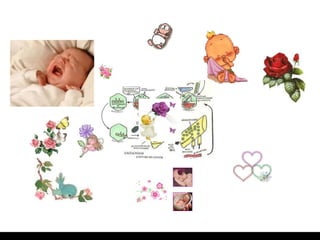 Criação Ria Slides 