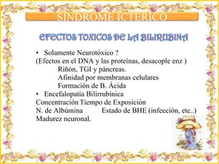 Solamente Neurotóxico ? (Efectos en el DNA y las proteínas, desacople enz ) Riñón, TGI y páncreas.  Afinidad por membranas celulares Formación de B. Ácida  Encefalopatía Bilirrubínica Concentración Tiempo de Exposición N. de Albúmina  Estado de BHE (infección, etc..) Madurez neuronal. Criação Ria Slides SINDROME ICTERICO 