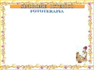 Criação Ria Slides FOTOTERAPIA 