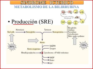 Producción (SRE)   15% 85% 