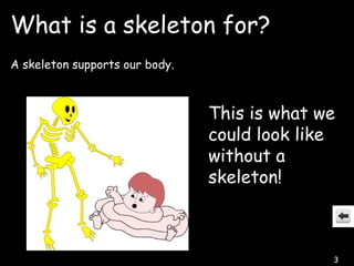 Skeleton and bones | PPT