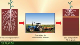 21
Fonte: Linkedin, 2024.
 