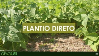 PLANTIO DIRETO
28
Fonte: Embrapa, 2023.
 