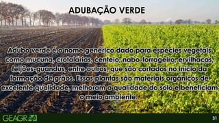 31
ADUBAÇÃO VERDE
Adubo verde é o nome genérico dado para espécies vegetais
como mucuna, crotalárias, centeio, nabo-forrageiro, ervilhacas,
feijões-guandus, entre outros, que são cortados no início da
formação de grãos. Essas plantas são materiais orgânicos de
excelente qualidade, melhoram a qualidade do solo e beneficiam
o meio ambiente.
Adubo verde é o nome genérico dado para espécies vegetais
como mucuna, crotalárias, centeio, nabo-forrageiro, ervilhacas,
feijões-guandus, entre outros, que são cortados no início da
formação de grãos. Essas plantas são materiais orgânicos de
excelente qualidade, melhoram a qualidade do solo e beneficiam
o meio ambiente.
Fonte: Embrapa, 2017
 