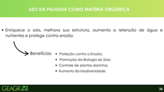 USO DA PALHADA COMO MATÉRIA ORGÂNICA
Enriquece o solo, melhora sua estrutura, aumenta a retenção de água e
nutrientes e protege contra erosão.
Benefícios: Proteção contra a Erosão;
Promoção da Biologia do Solo;
36
Controle de plantas daninha;
Aumento da biodiversidade.
 
