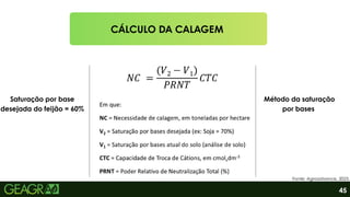 CÁLCULO DA CALAGEM
Método da saturação
por bases
45
Saturação por base
desejada do feijão = 60%
Fonte: Agroadvance, 2025.
 