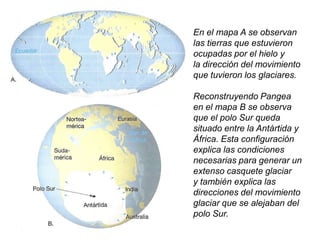 Encontró morenas glaciares (los sedimentos dejados por un glaciar cuando el hielo se funde) en África, Sudamérica, la India y Australia, todos de la misma edad.Mientras en estos lugares reinaba un intenso frío, en las actuales Estados Unidos, Europa y Siberia había un clima tropical (los yacimientos de carbón de esos lugares se formaron a partir de helechos arbóreos de esa época).Imagen: sedimentos de origen glaciar