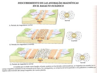 El estudio de los fondos oceánicos: el descubrimiento del sistema global de dorsales
