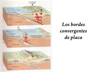 Actividad volcánica asociada a los bordes divergentes:                       el Kilimanjaro, en los valles de rift del Este de África