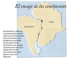 Evidencias fósiles y organismos actuales