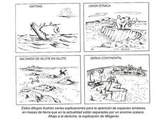  La continuidad de estructuras rocosas a ambos lados de los océanos