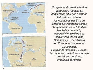 Algunas de las evidencias fósiles