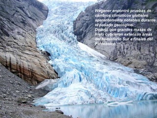 Fósil de Mesosaurus