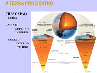 TRES CAPAS: - CODIA - MANTO SUPERIOR INFERIOR - NÚCLEO EXTERNO INTERNO 