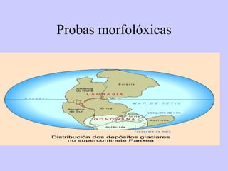 Probas morfolóxicas 