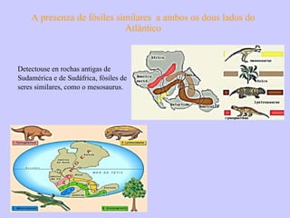 A presenza de fósiles similares  a ambos os dous lados do Atlántico Detectouse en rochas antigas de Sudamérica e de Sudáfrica, fósiles de seres similares, como o mesosaurus. 