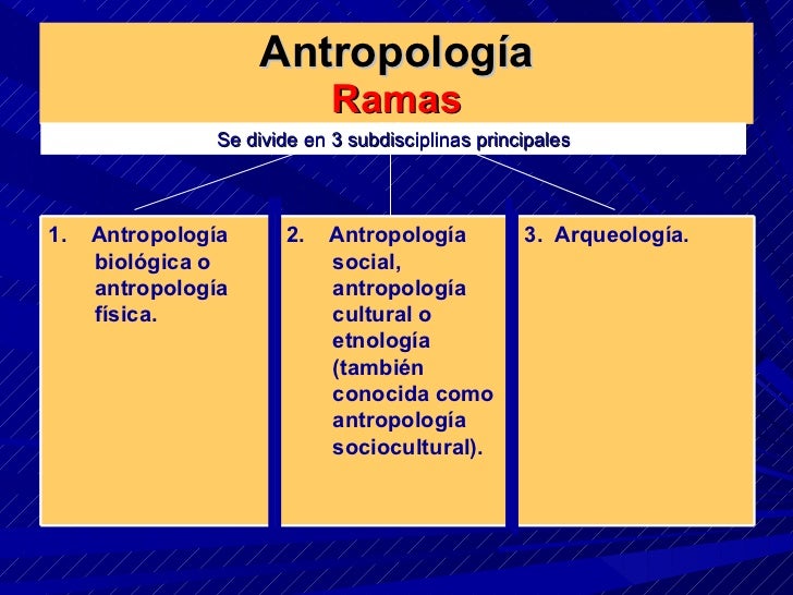 AntropologÃ­a Ramas Se divide en 3 subdisciplinas principales 1.  AntropologÃ­a biolÃ³gica o antropologÃ­a fÃ­sica. 2.  Antropo...