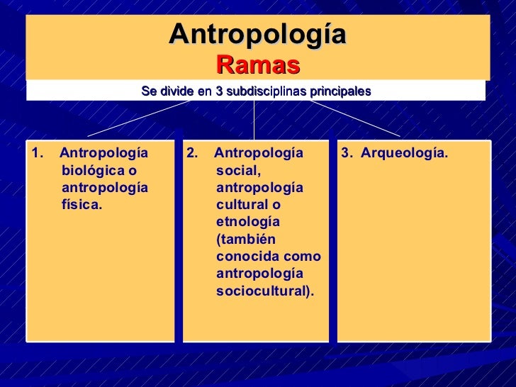 AntropologÃa Ramas Se divide en 3 subdisciplinas principales 1. AntropologÃa biológica o antropologÃa fÃsica. 2. Antropo...