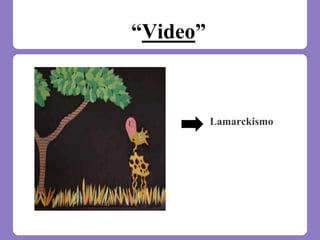 “Video”
Lamarckismo
 