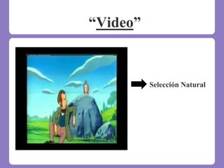 “Video”
Selección Natural
 