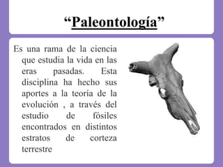 “Paleontología”
Es una rama de la ciencia
que estudia la vida en las
eras pasadas. Esta
disciplina ha hecho sus
aportes a la teoría de la
evolución , a través del
estudio de fósiles
encontrados en distintos
estratos de corteza
terrestre
 