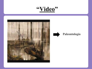 “Video”
Paleontología
 