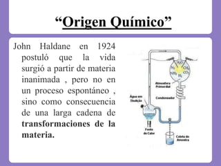 “Origen Químico”
John Haldane en 1924
postuló que la vida
surgió a partir de materia
inanimada , pero no en
un proceso espontáneo ,
sino como consecuencia
de una larga cadena de
transformaciones de la
materia.
 