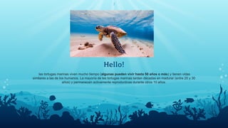 Hello!
las tortugas marinas viven mucho tiempo (algunas pueden vivir hasta 50 años o más) y tienen vidas
similares a las de los humanos. La mayoría de las tortugas marinas tardan décadas en madurar (entre 20 y 30
años) y permanecen activamente reproductivas durante otros 10 años.
3
 