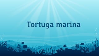Tortuga marina
 