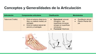 Generalidades Tibia Descripción anatómica de la articulación delTOBILLO.pptx