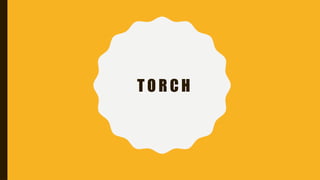 Ppt Using Torch Copia de TORCH.pptxnmmbknknnklbkjkjgukguk | PPTX