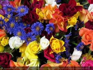 Photo by Josef Türk Reit im Winkl Chiemgau - Creative Commons Attribution-NonCommercial-ShareAlike License http://www.flickr.com/photos/46723181@N02
Created with Haiku Deck

 