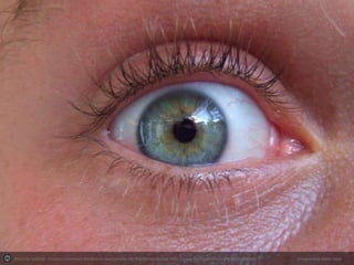 Photo by SaZeOd - Creative Commons Attribution-NonCommercial-ShareAlike License http://www.flickr.com/photos/90929268@N00

Created with Haiku Deck

 