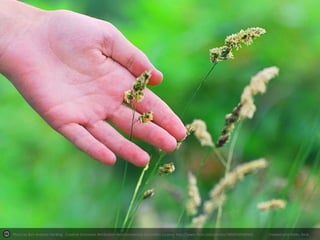 Photo by Ben Andreas Harding - Creative Commons Attribution-NonCommercial-ShareAlike License http://www.flickr.com/photos/38605609@N02

Created with Haiku Deck

 