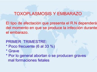 TOXOPLASMOSIS Y EMBARAZO
El tipo de afectación que presenta el R.N dependerá
del momento en que se produce la infección durante
el embarazo.
PRIMER TRIMESTRE:
* Poco frecuente (6 al 33 %)
* Grave
* Por lo general abortan o se producen graves
mal formaciones fetales
 